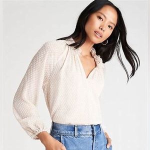 EUC Ann Taylor Clip Shirred Raglan Sleeve Top in Light Heirloom Tan